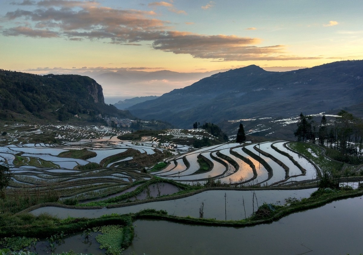 米5——元阳梯田（1）