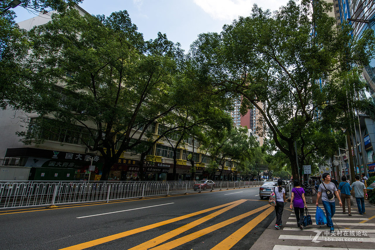 深圳市貌2015.10.30.
