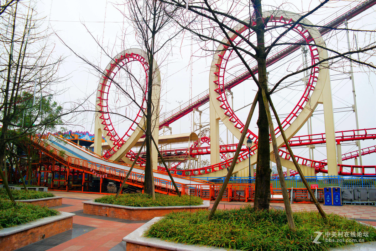 游乐场里的一家人