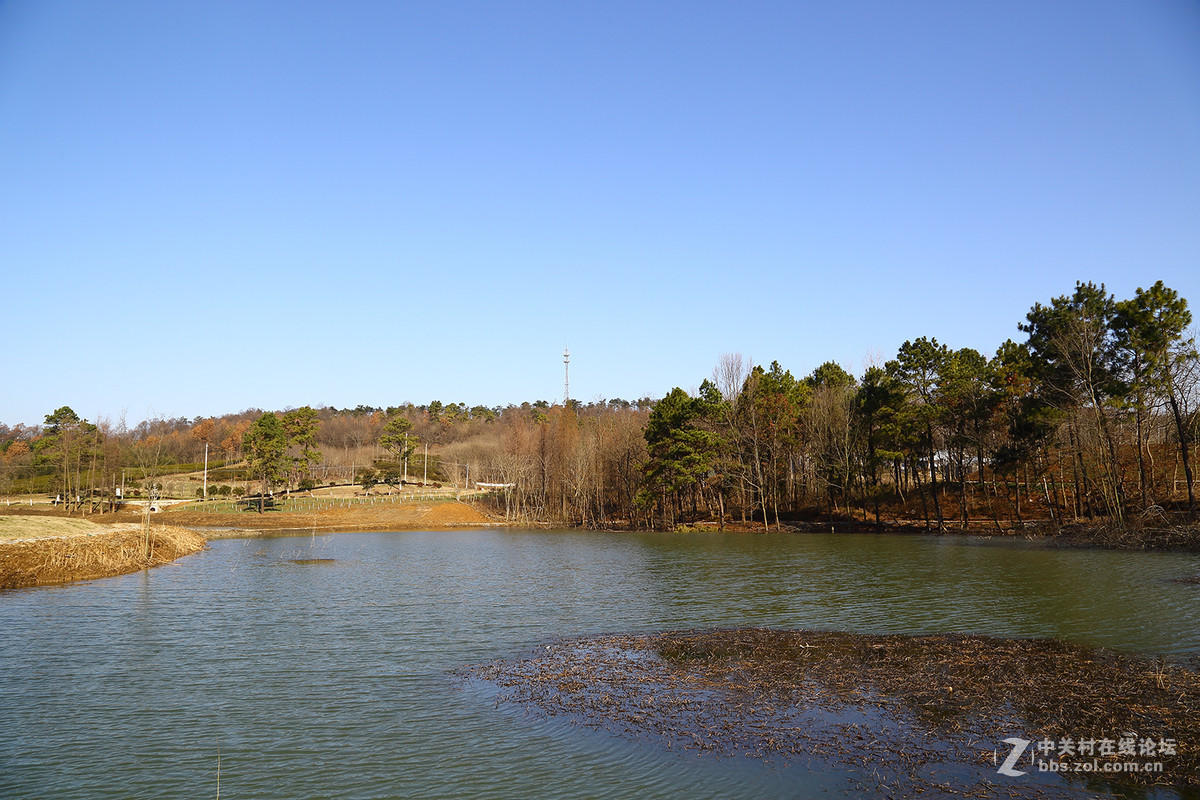 南京平山森林公園