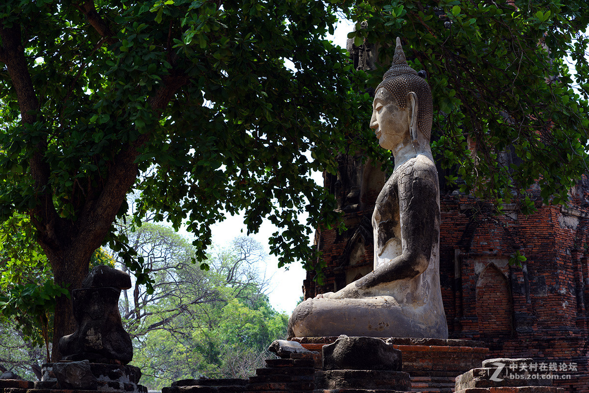 转“无忌”色友发的几张用K1拍的图片。