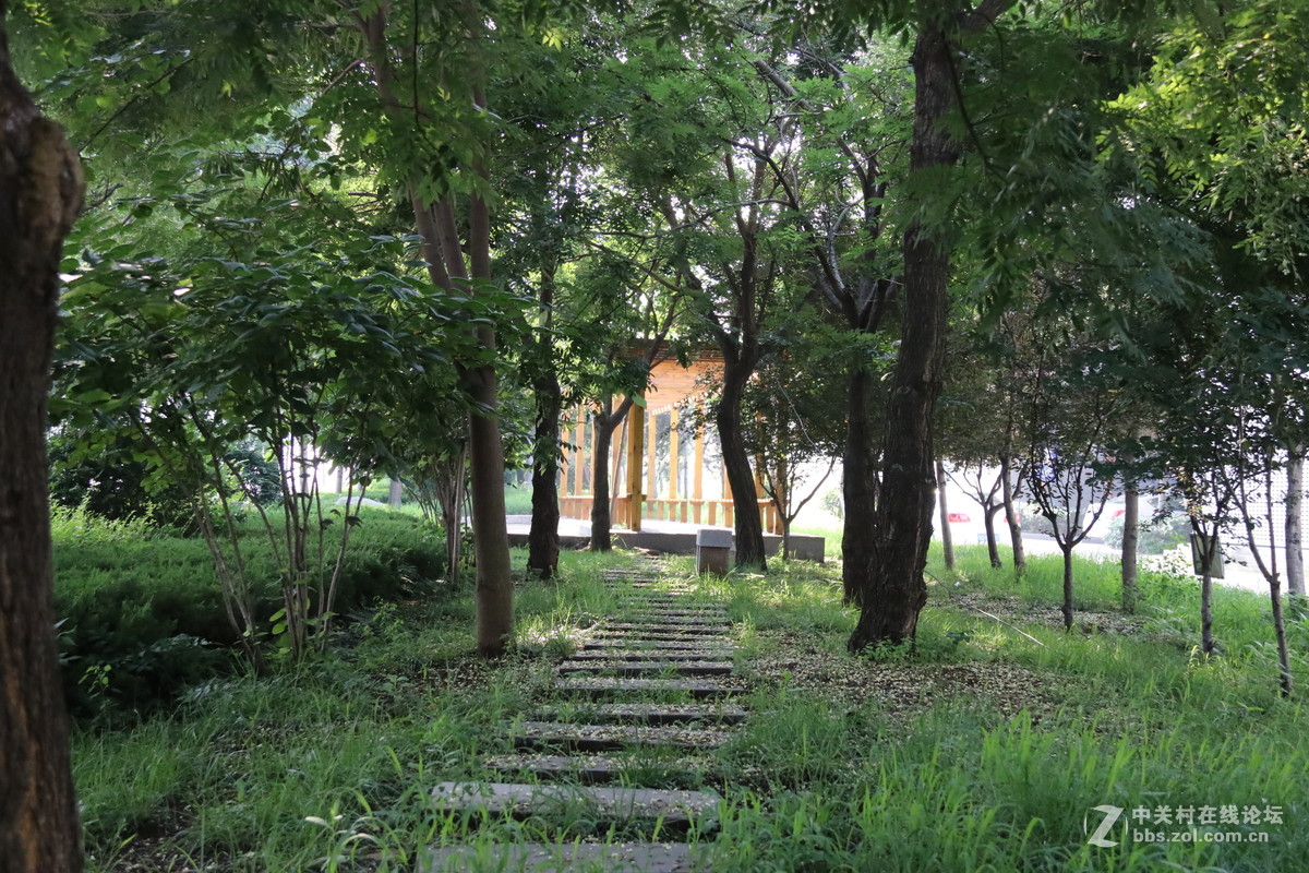 学习中很多功能不知怎么用。