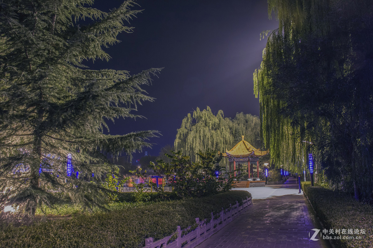 高清夜景（东湖公园）2