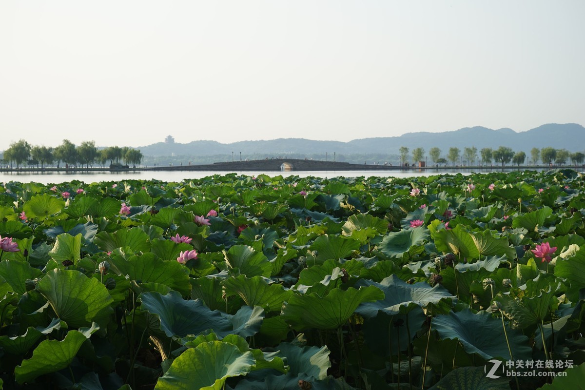 杭州西湖g20