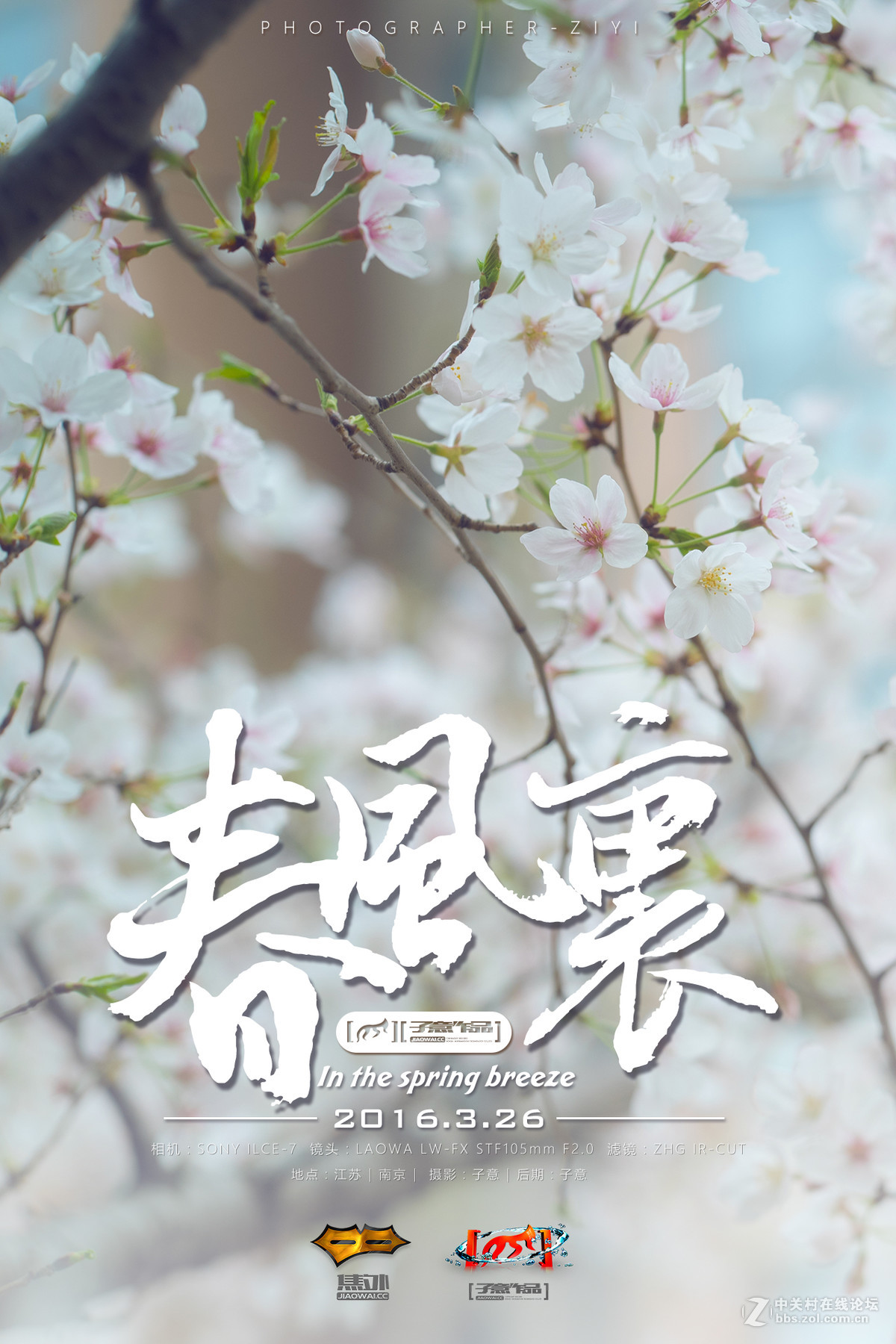 春风里|老蛙105mmf2.0STF镜头下的春天