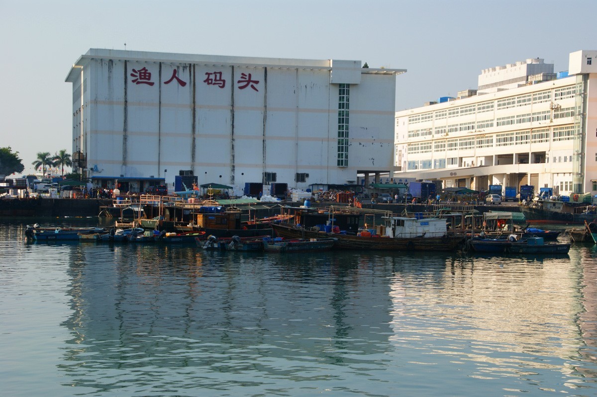 蛇口渔港深圳的渔人码头