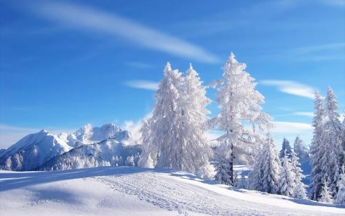 #佳能月赛-行走的印记# 哈尔滨的雪景