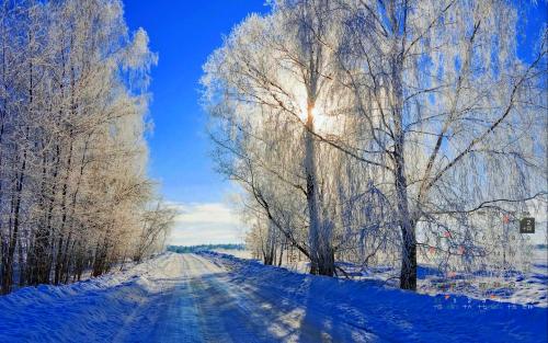 #佳能月赛-行走的印记#冬天的清晨之光