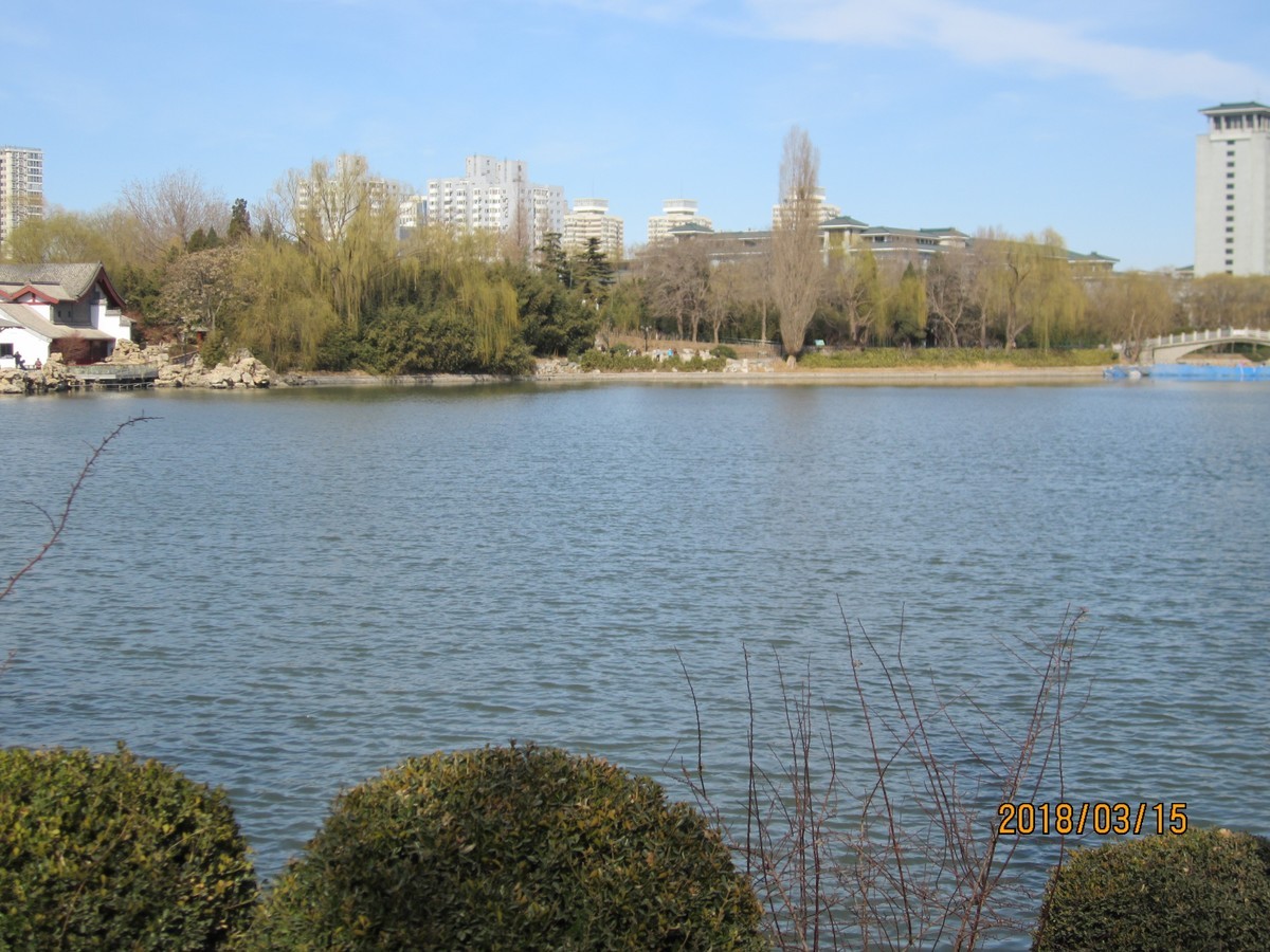 #佳能EOS M100-春天来了#芽初发，苞欲放，春之脚步临近