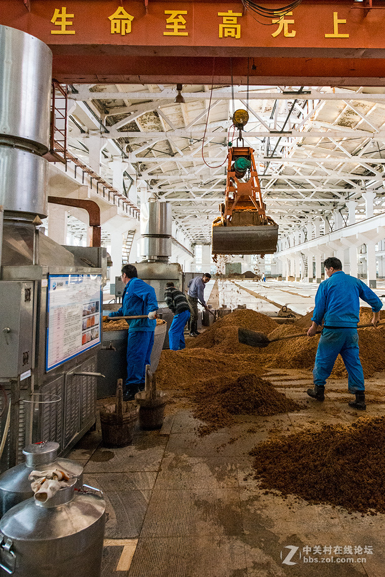 宿迁市洋河镇古窖酒厂图片