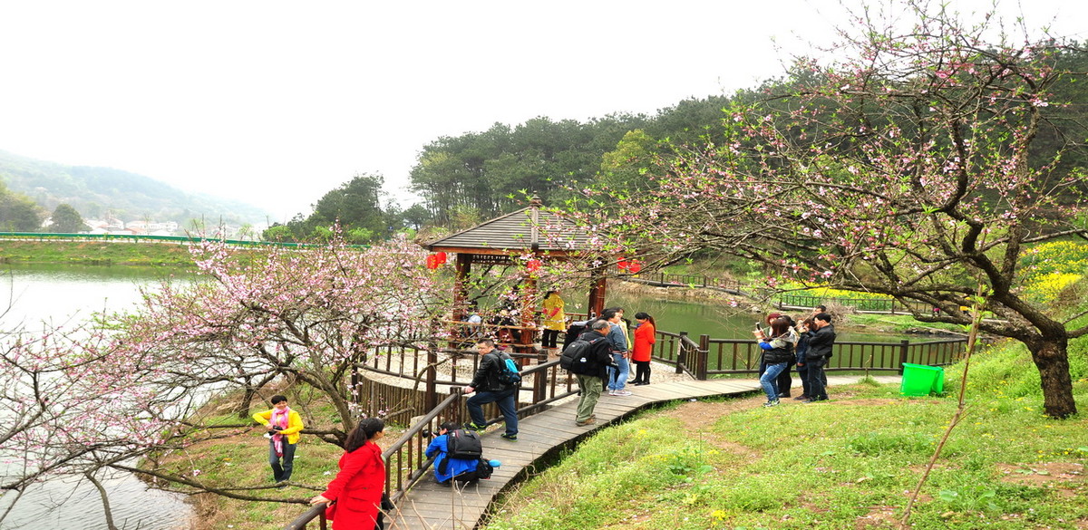 大冶保安鎮劉通莊田園風光景攝