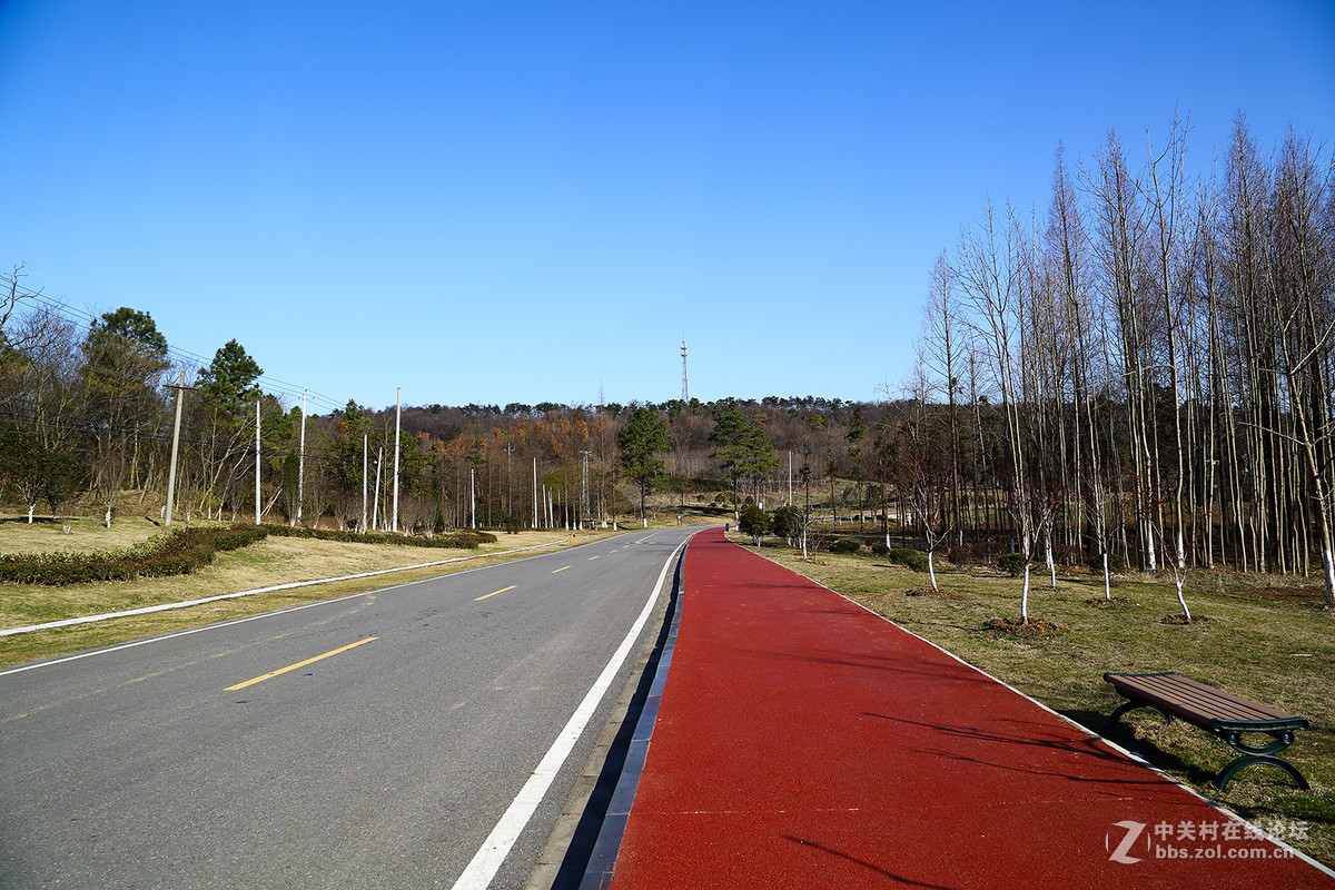 南京平山森林公园