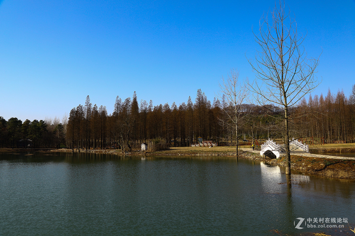 南京平山森林公園