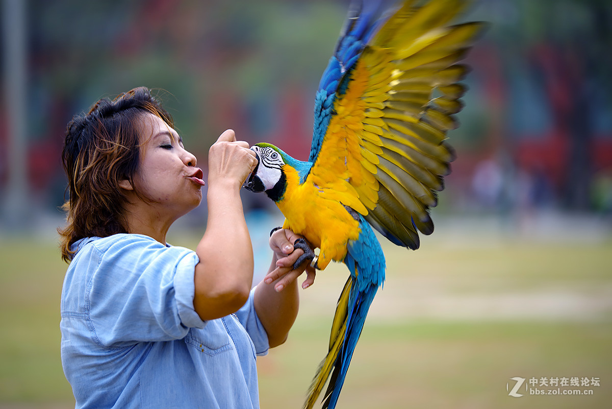 转“无忌”色友发的几张用K1拍的图片。