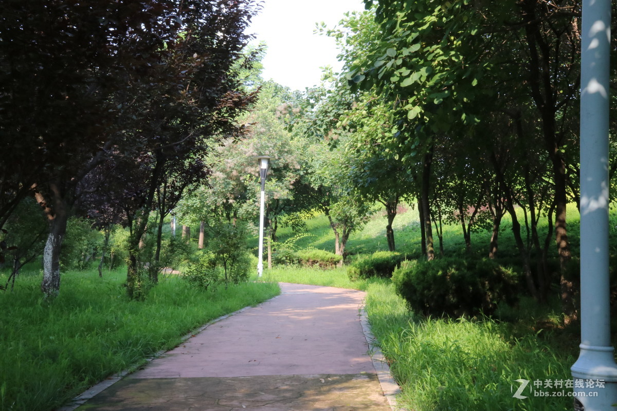 学习中很多功能不知怎么用。