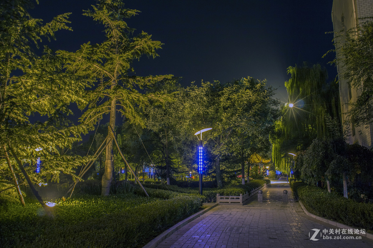 高清夜景（东湖公园）2