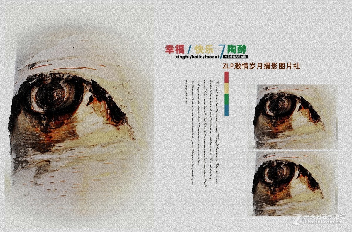 白桦树——美丽的大眼睛