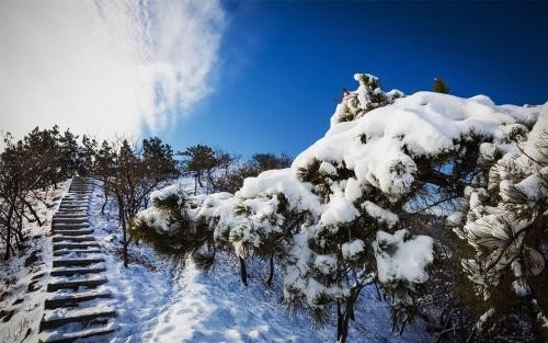 #佳能月赛-行走的印记# 哈尔滨的雪景