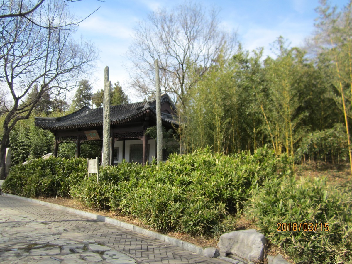 #佳能EOS M100-春天来了#芽初发，苞欲放，春之脚步临近