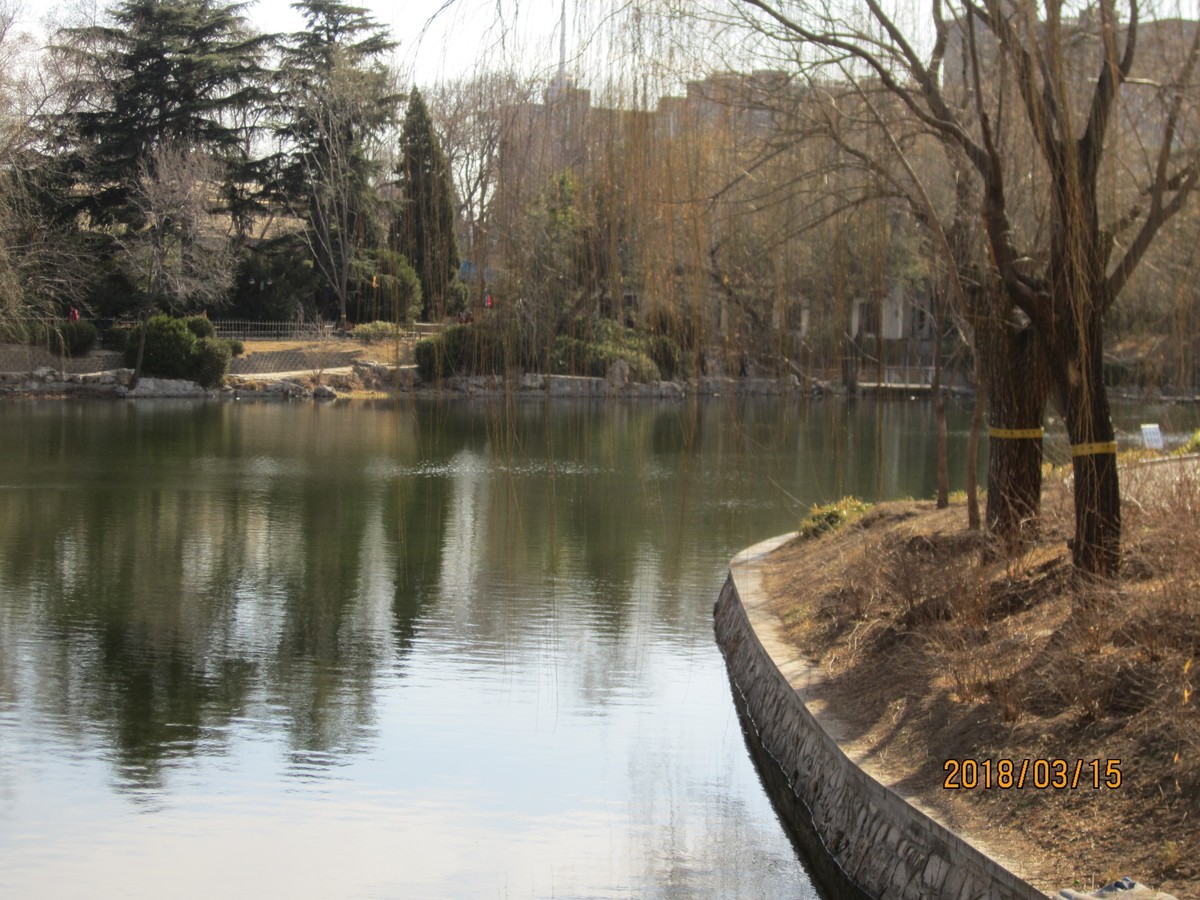 #佳能EOS M100-春天来了#芽初发，苞欲放，春之脚步临近