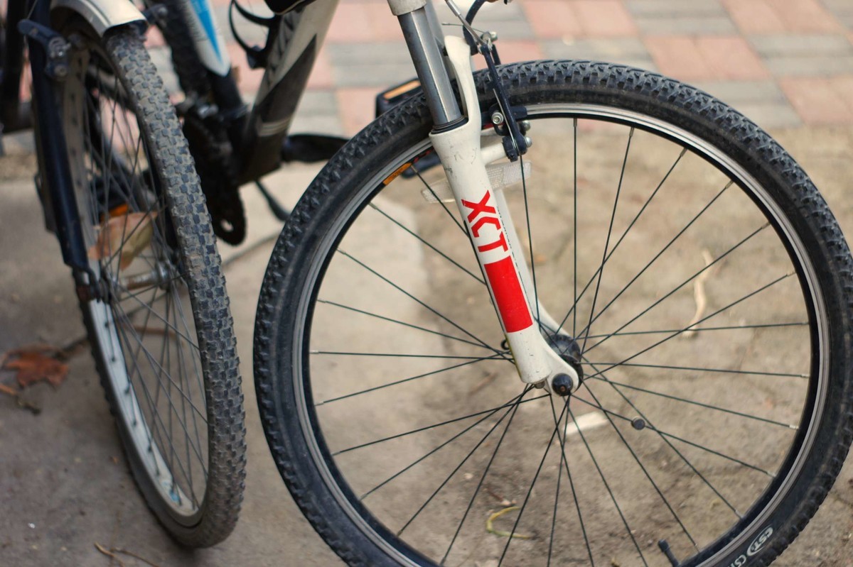 索尼nex3+国鸟50 1.7试光出片