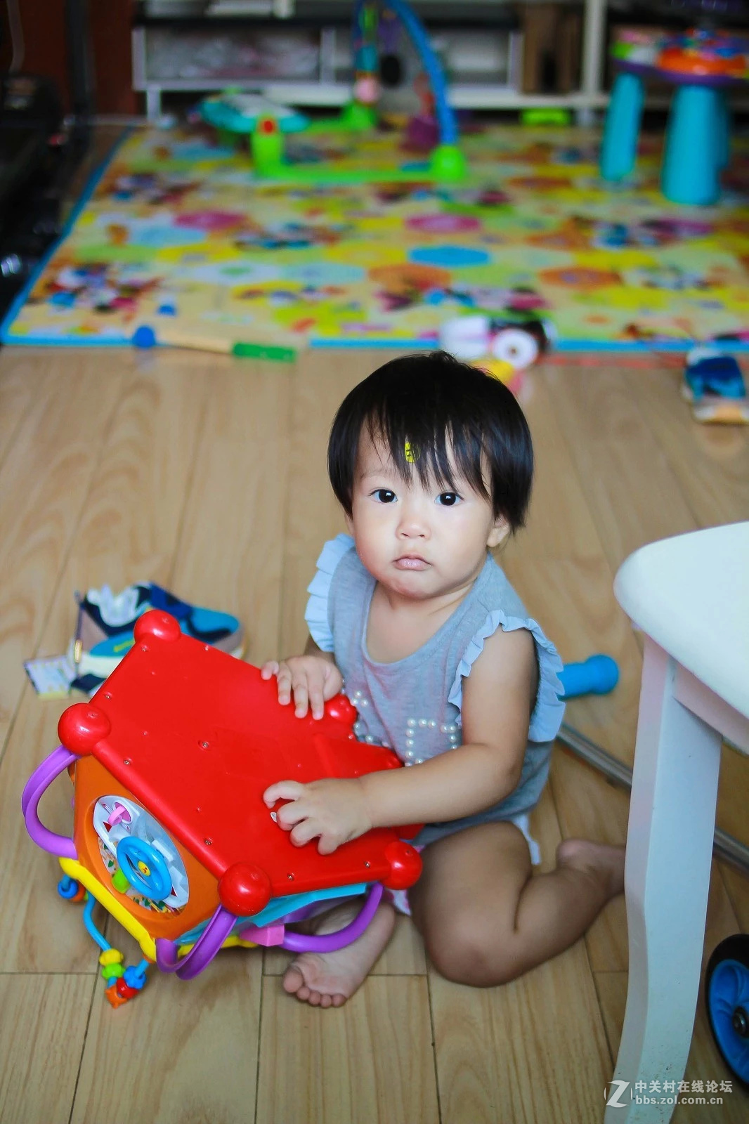 记录生活。二娃交亮登场。。。