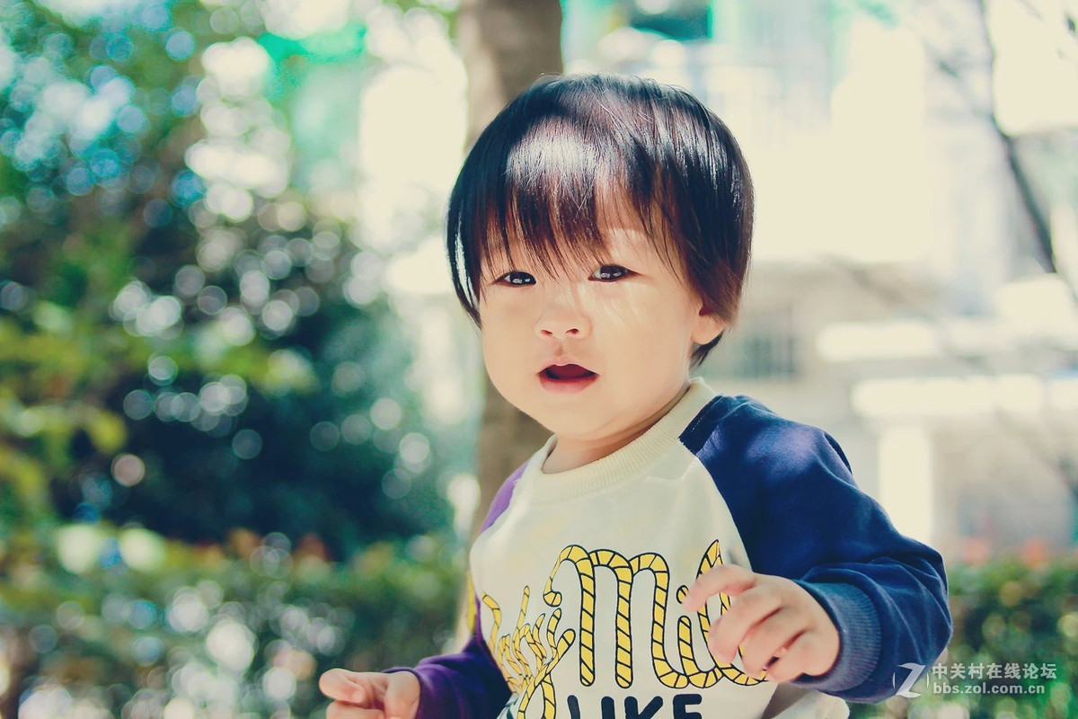 记录生活。二娃交亮登场。。。