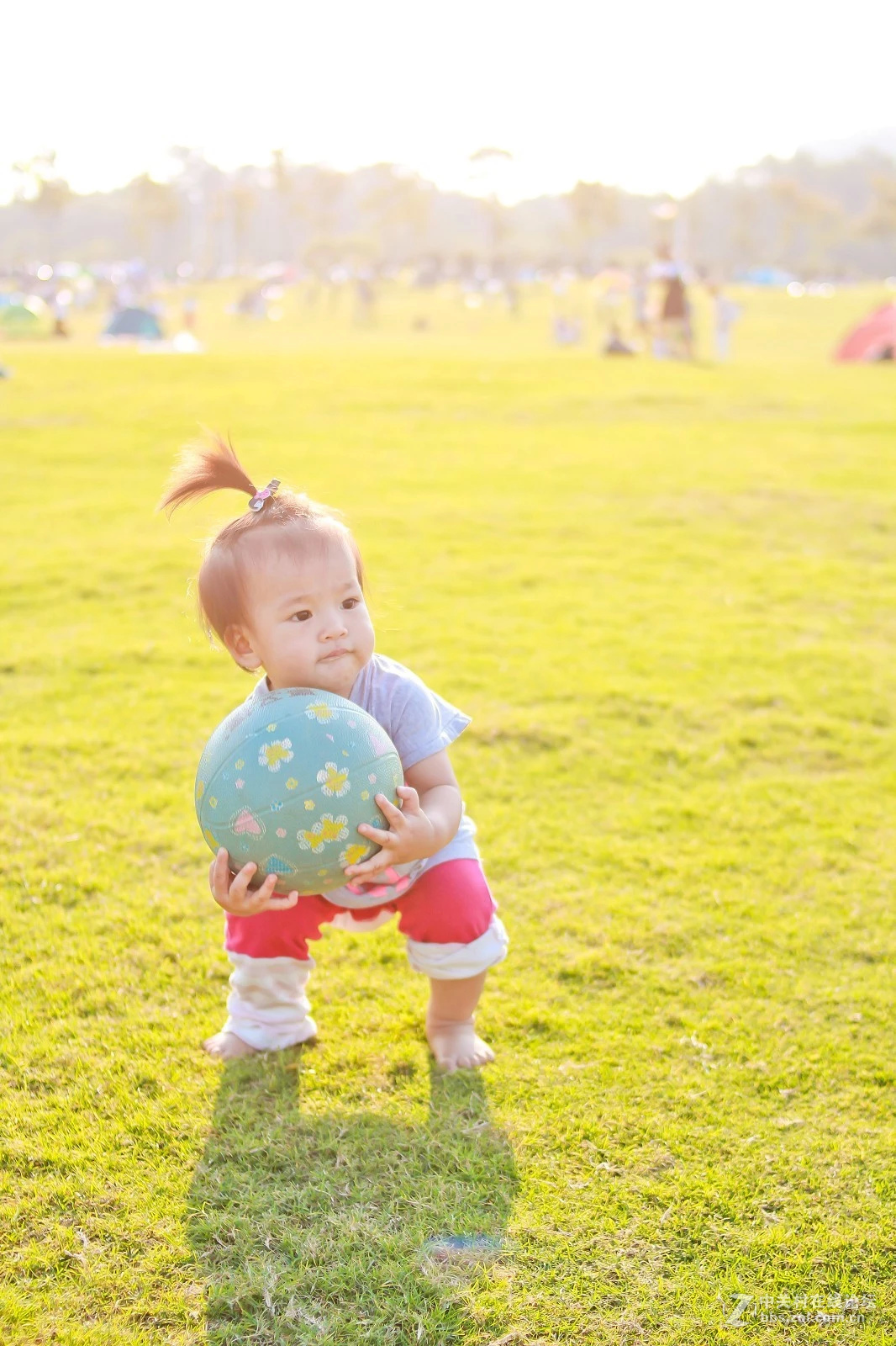 记录生活。二娃交亮登场。。。