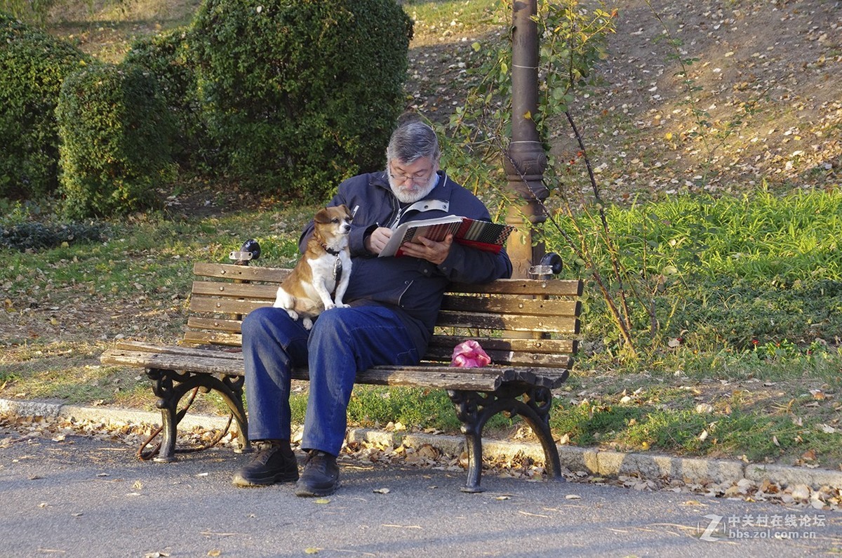 塞尔维亚随拍（2）——贝城与卡莱梅格丹