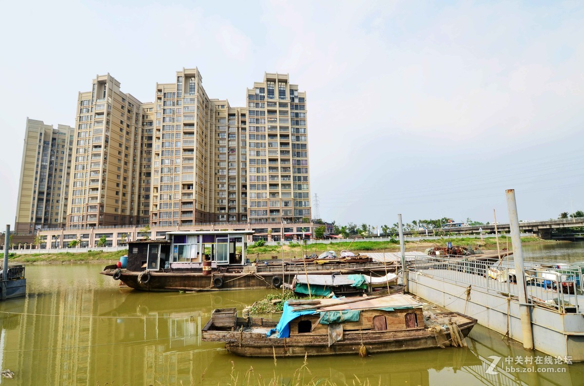随拍，分享一下我小区外河岸的船