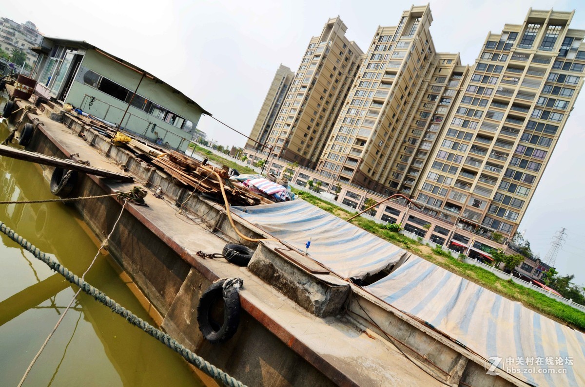 随拍，分享一下我小区外河岸的船