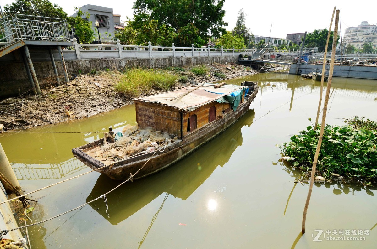 随拍，分享一下我小区外河岸的船
