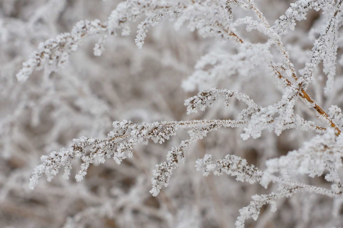 索尼nex3+国鸟50 1.7试光出片
