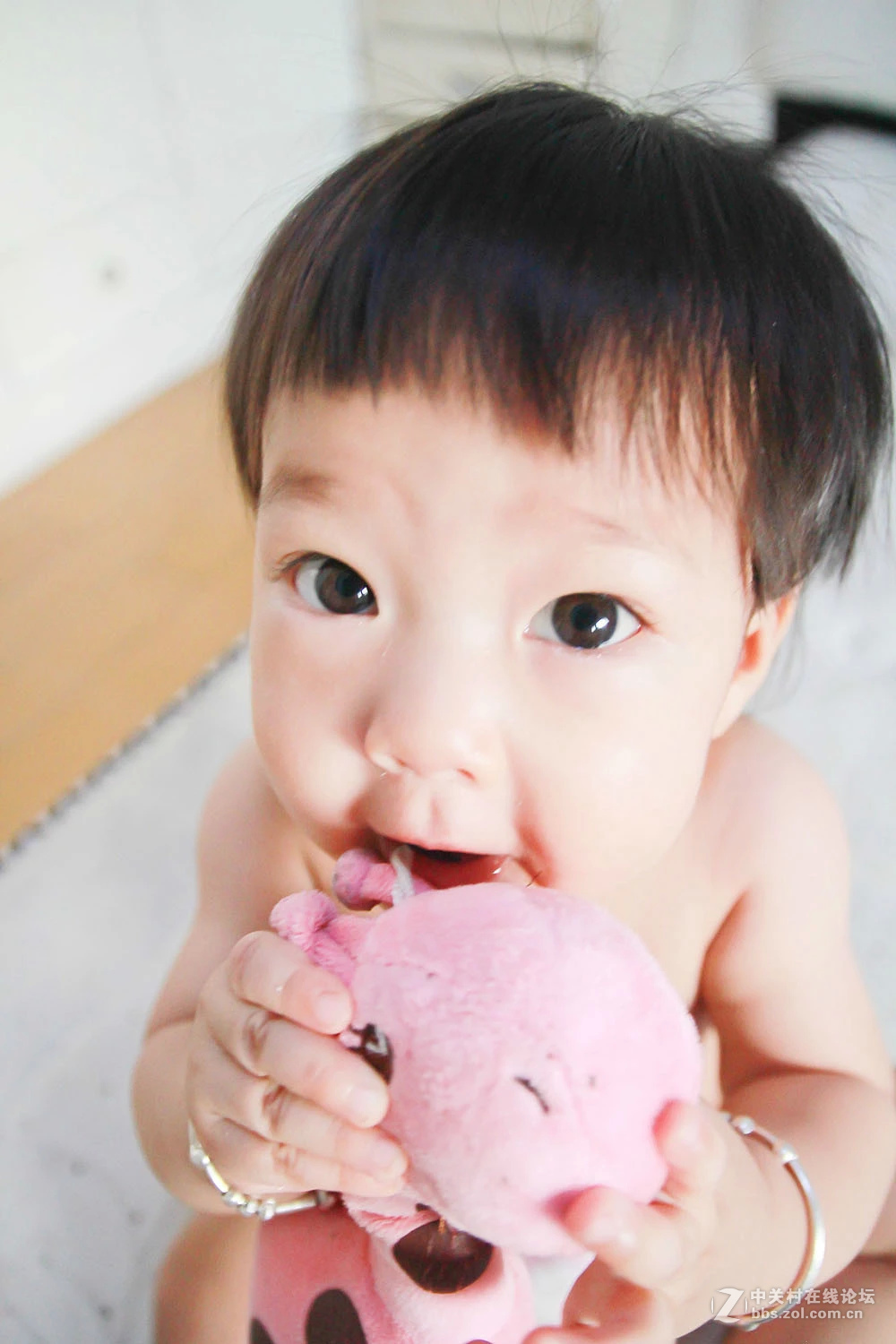 记录生活。二娃交亮登场。。。