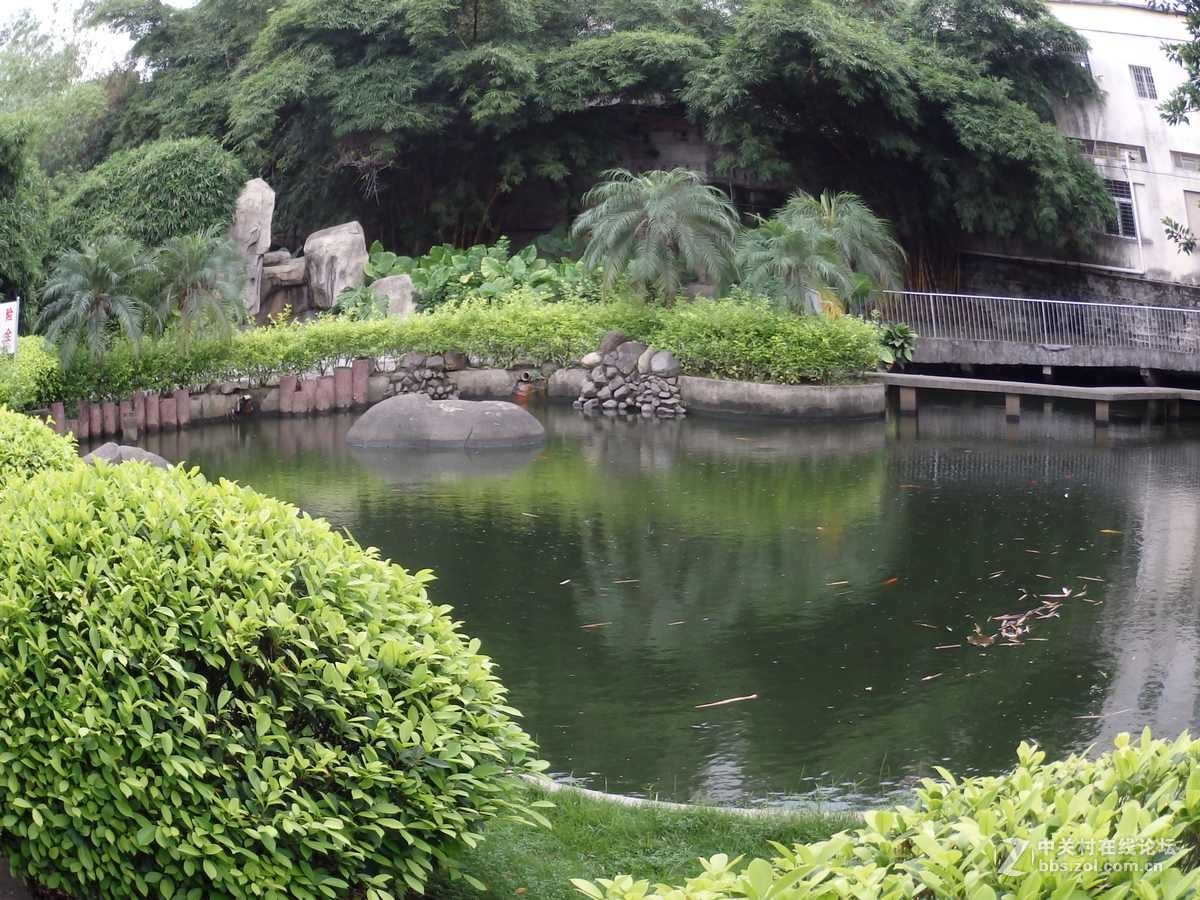 美丽的杏东公园园林风光摄影