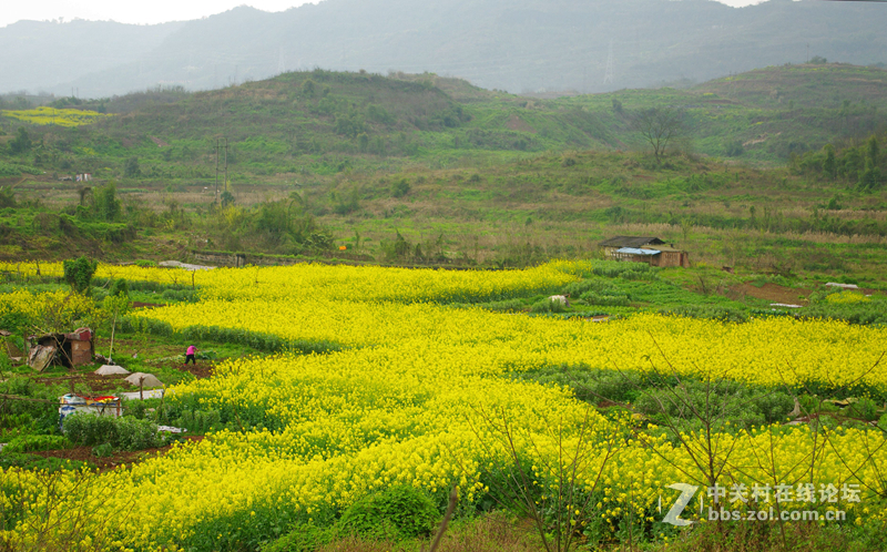 濯水土家族古镇