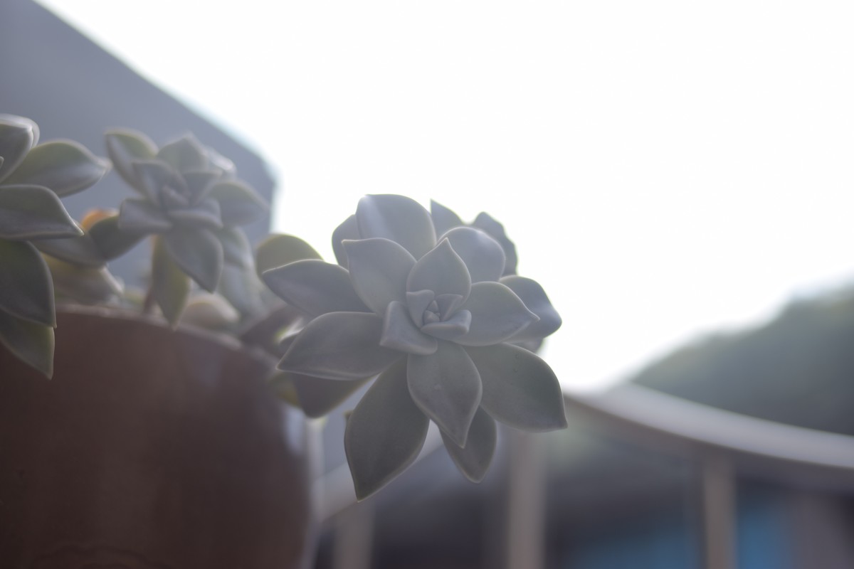 试机 随拍 直出无修改后期