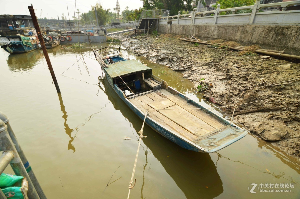 随拍，分享一下我小区外河岸的船