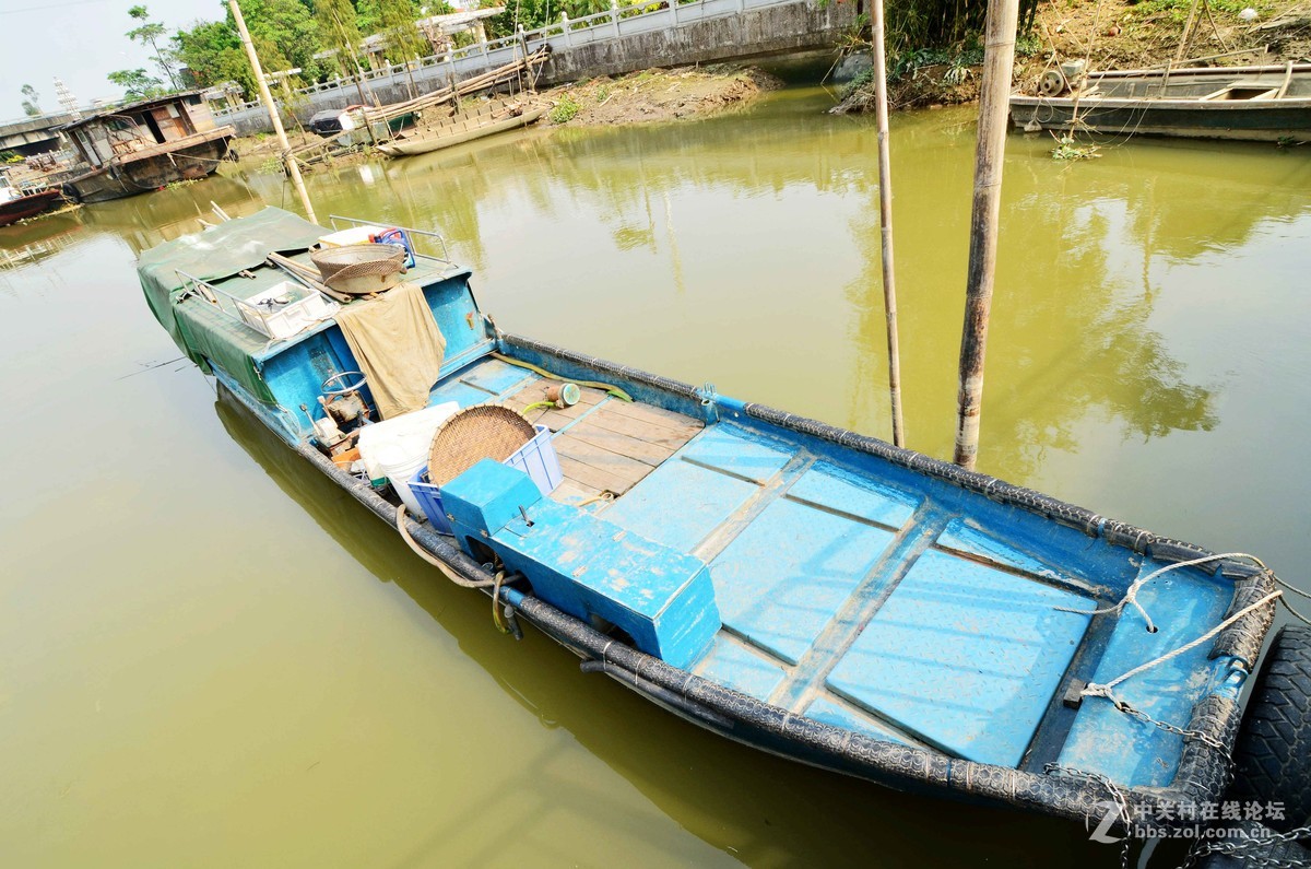 随拍，分享一下我小区外河岸的船