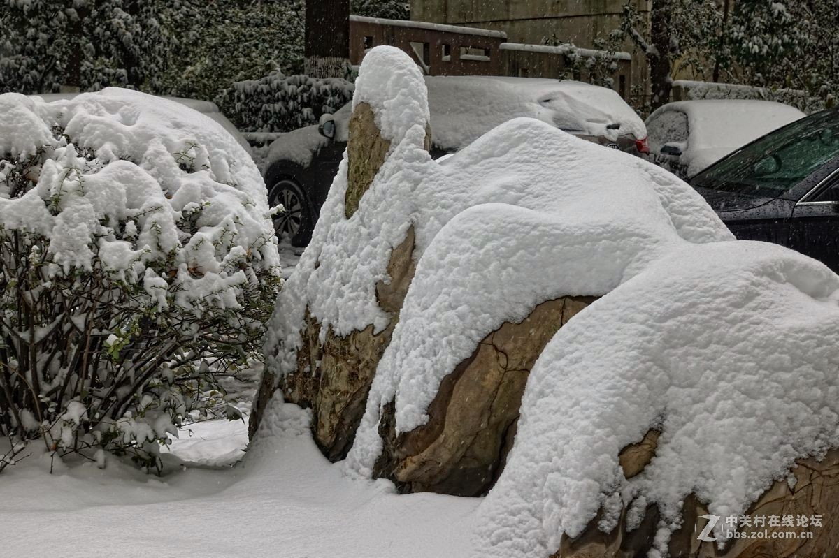瑞雪兆丰年-中关村在线摄影论坛
