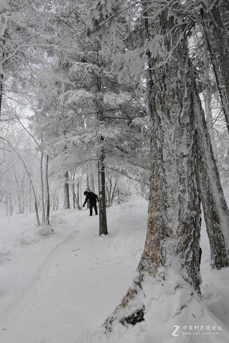 一路向东——雪乡纪实