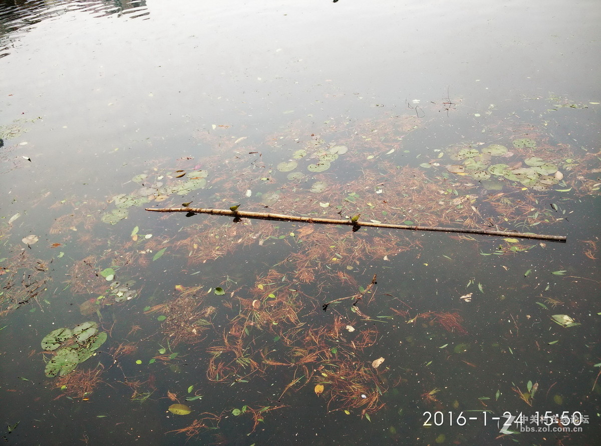 20160124 荔湾反串