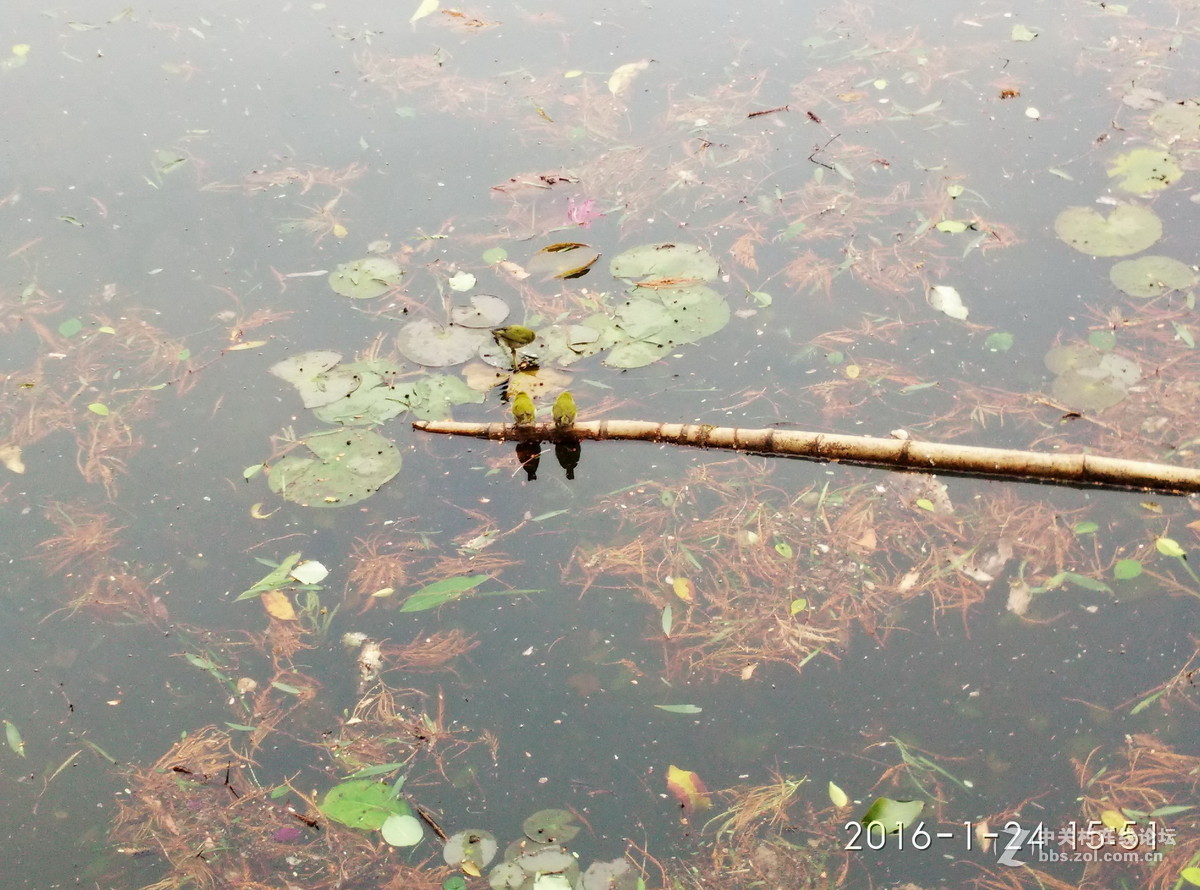 20160124 荔湾反串