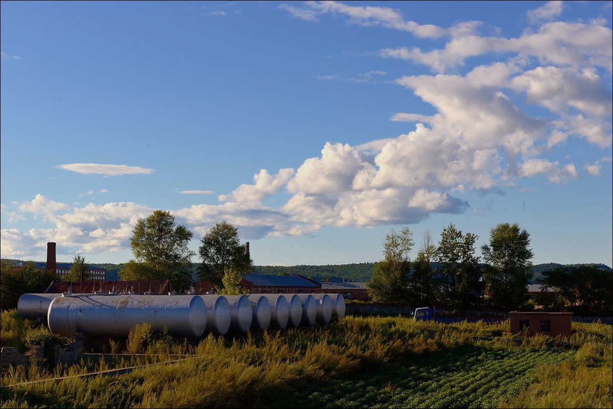 休闲随拍（325）