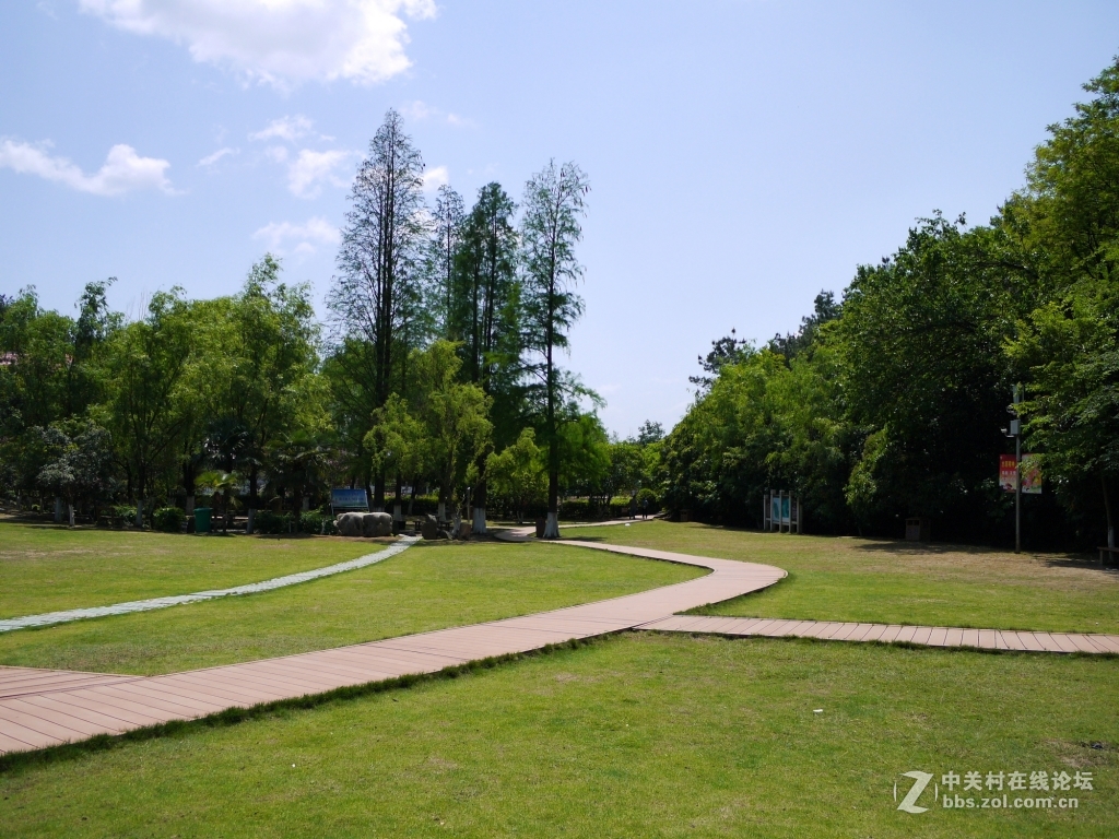 一组家乡的风光……