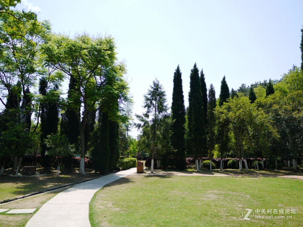 一组家乡的风光……