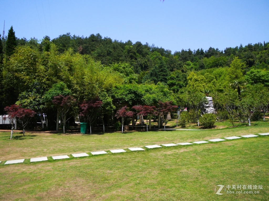 一组家乡的风光……