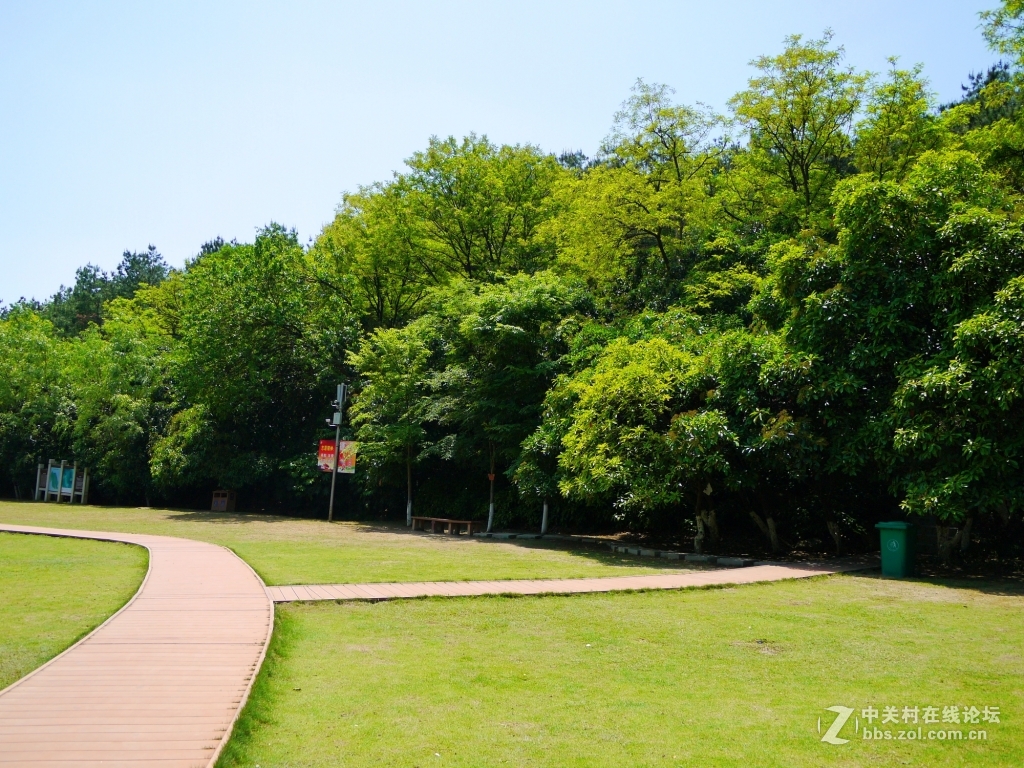 一组家乡的风光……