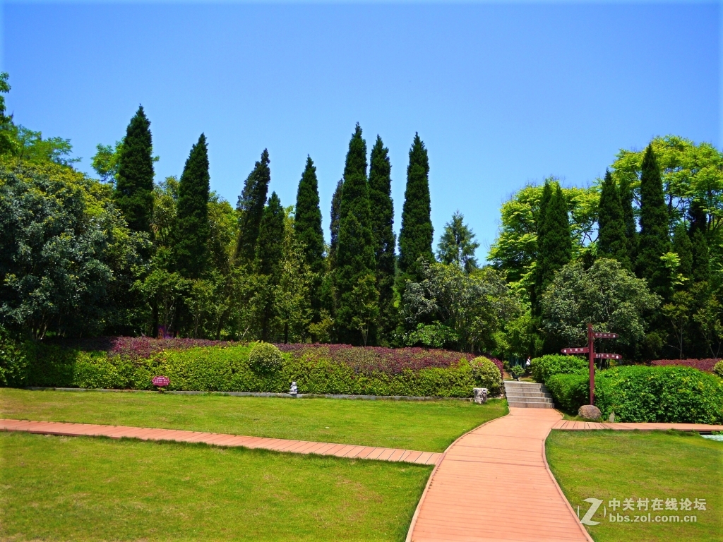 一组家乡的风光……