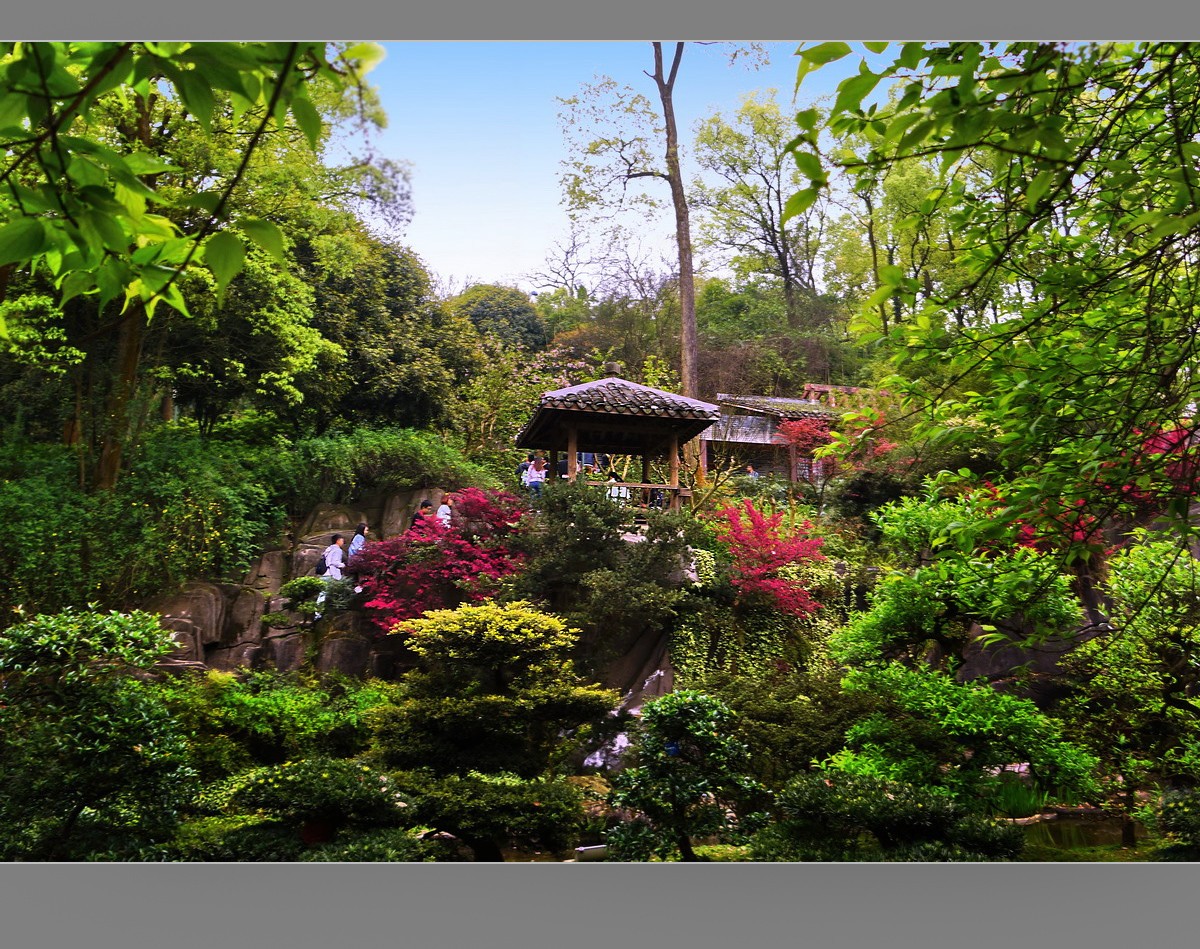 重慶南山植物園一角8p